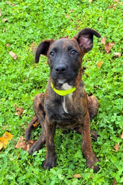 WhatsApp Image 2026-03-18 at 12.35.17