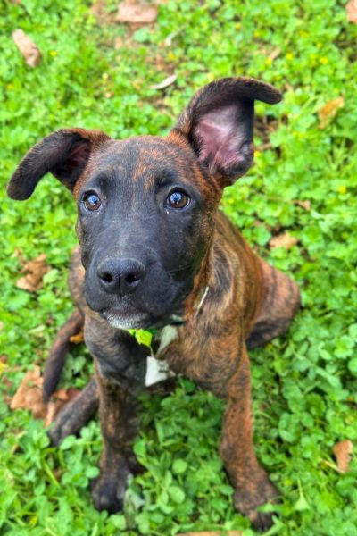 WhatsApp Image 2026-03-18 at 12.35.18