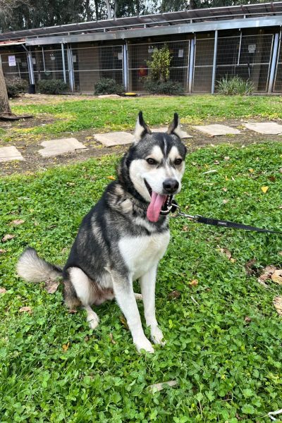 WhatsApp Image 2026-03-18 at 22.48.29