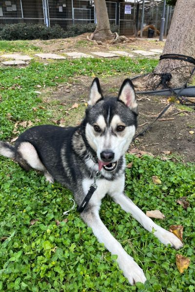 WhatsApp Image 2026-03-18 at 22.48.30 (1)