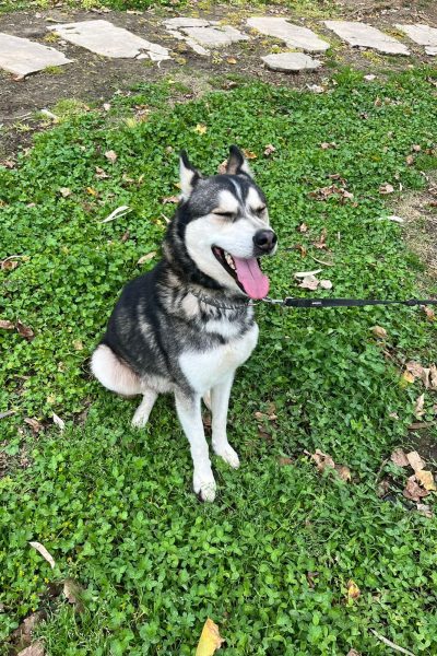 WhatsApp Image 2026-03-18 at 22.48.30