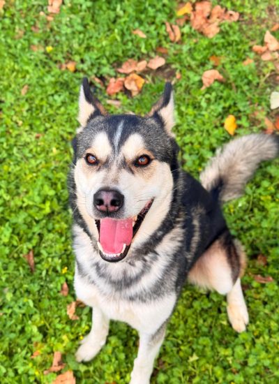 WhatsApp Image 2026-03-18 at 22.48.32