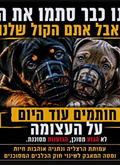 עמותת הרצליה ונתניה אוהבות חיות | עצומה: מצילים את הכלבים "המסוכנים"