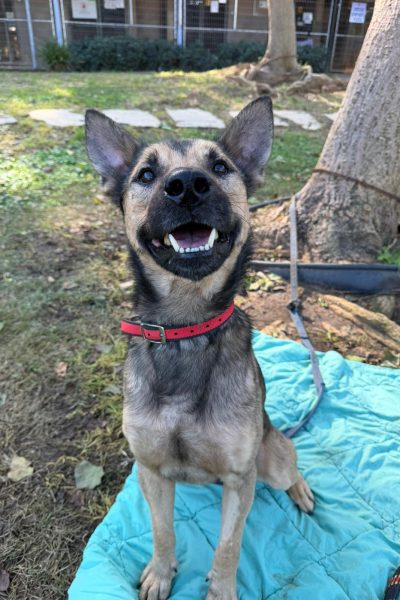 מיילו-נתניה2