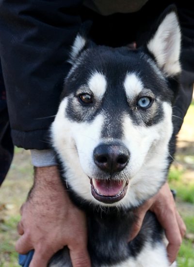 סופי תמונה ראשית